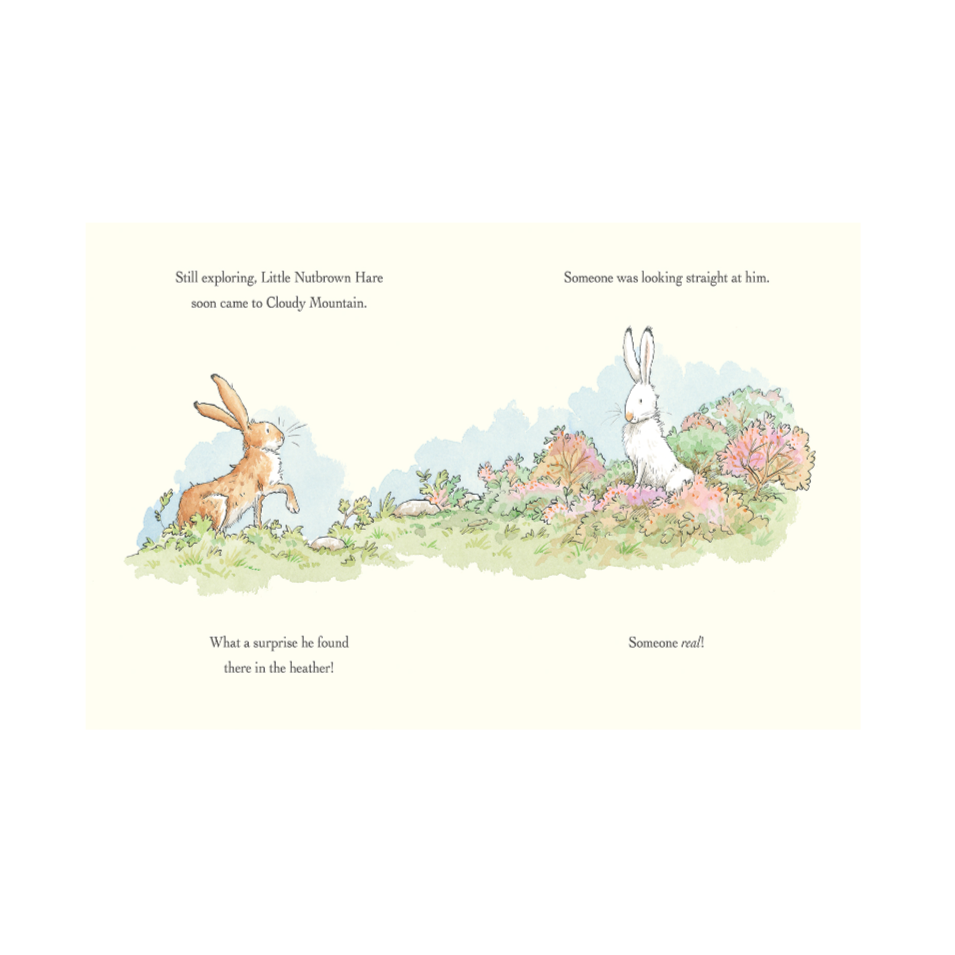 WILL YOU BE MY FRIEND? by SAM MCBRATNEY