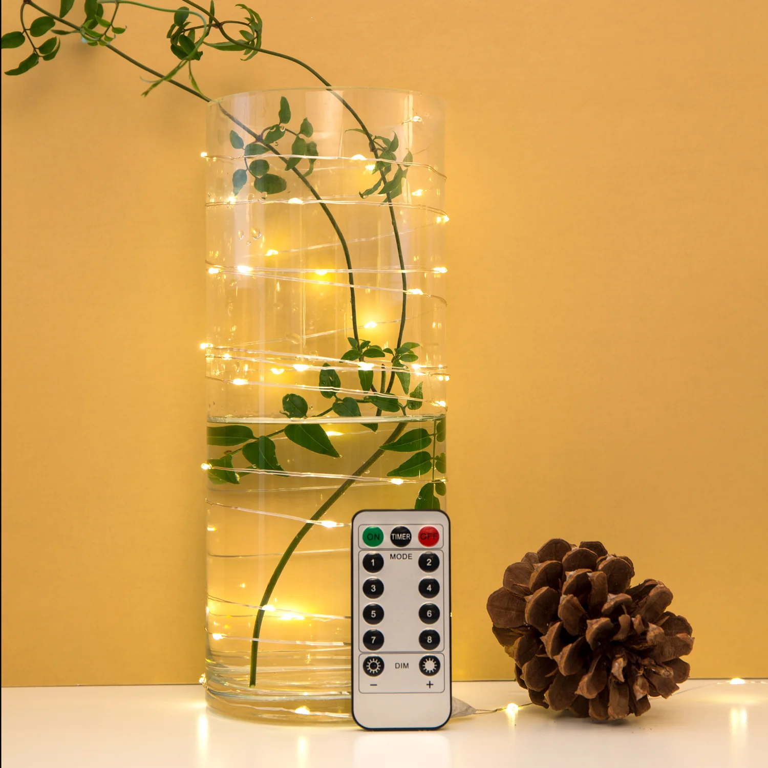 EXTRA LONG STRING LIGHT
