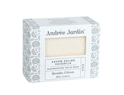 MINT LEMON DISH SOAP BAR