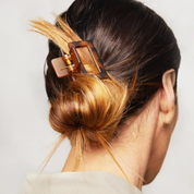 BROWN & BLACK CLAW CLIP SET by KITSCH