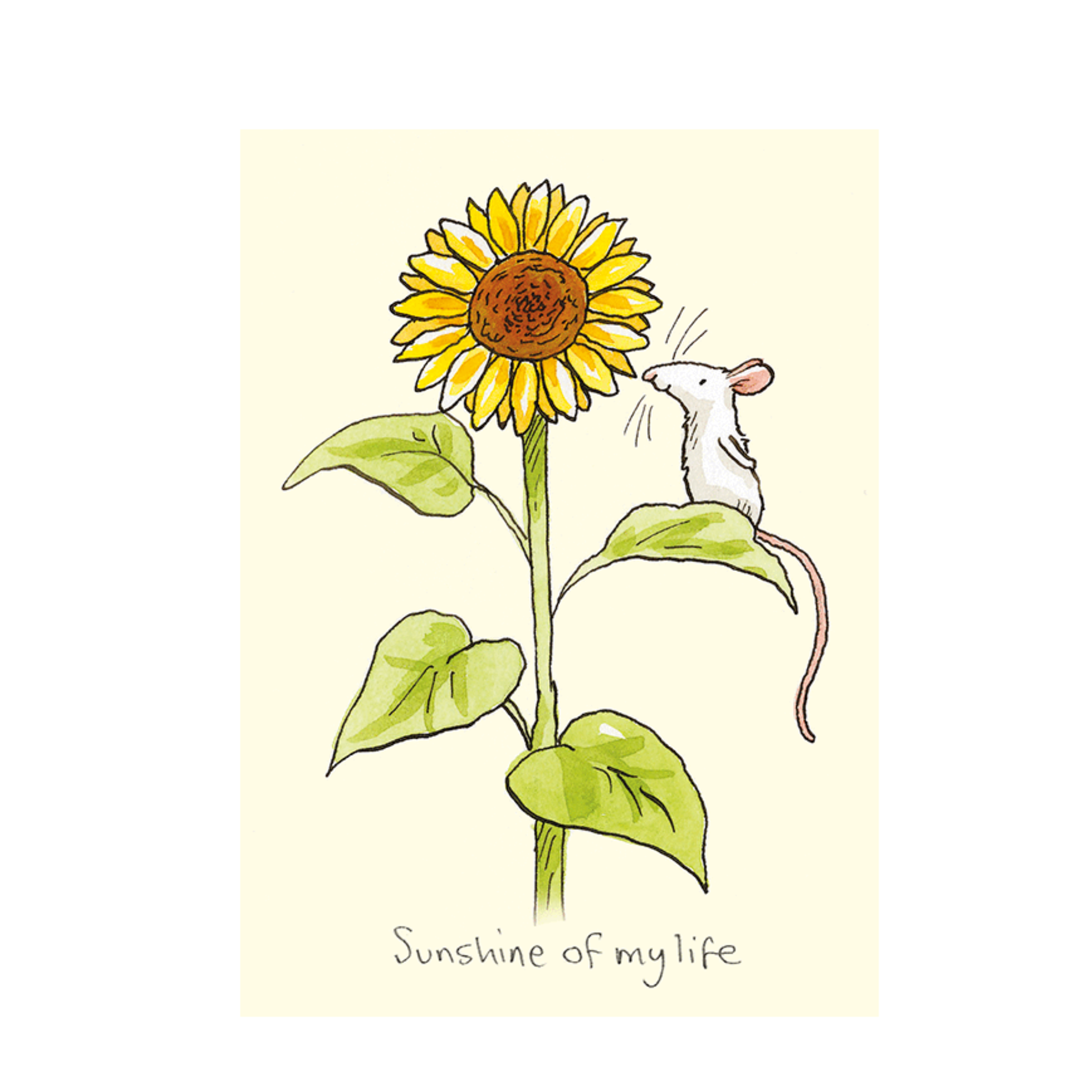 SUNSHINE OF MY LIFE CARD