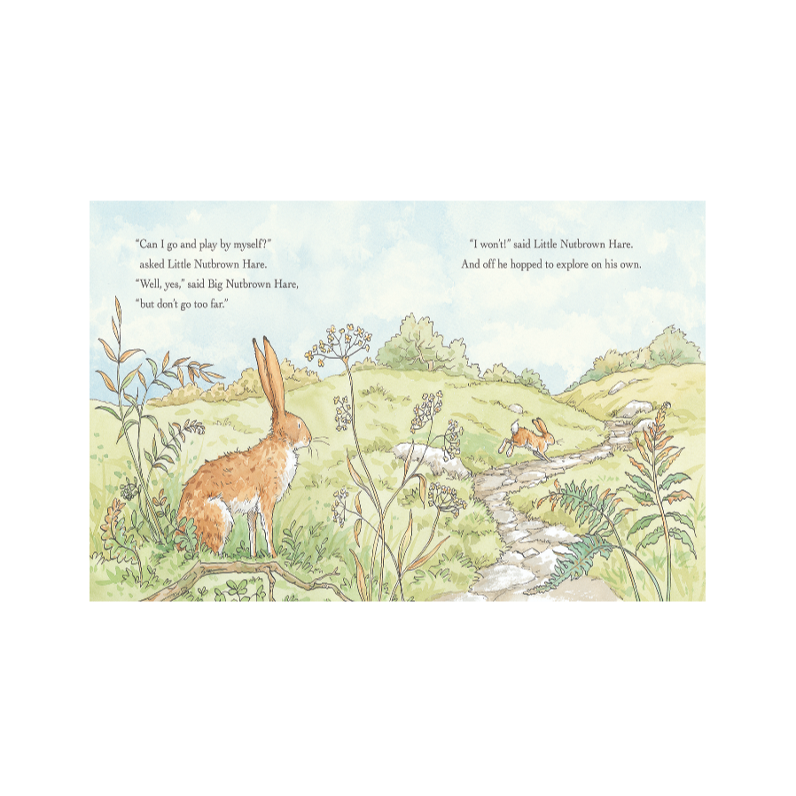 WILL YOU BE MY FRIEND? by SAM MCBRATNEY