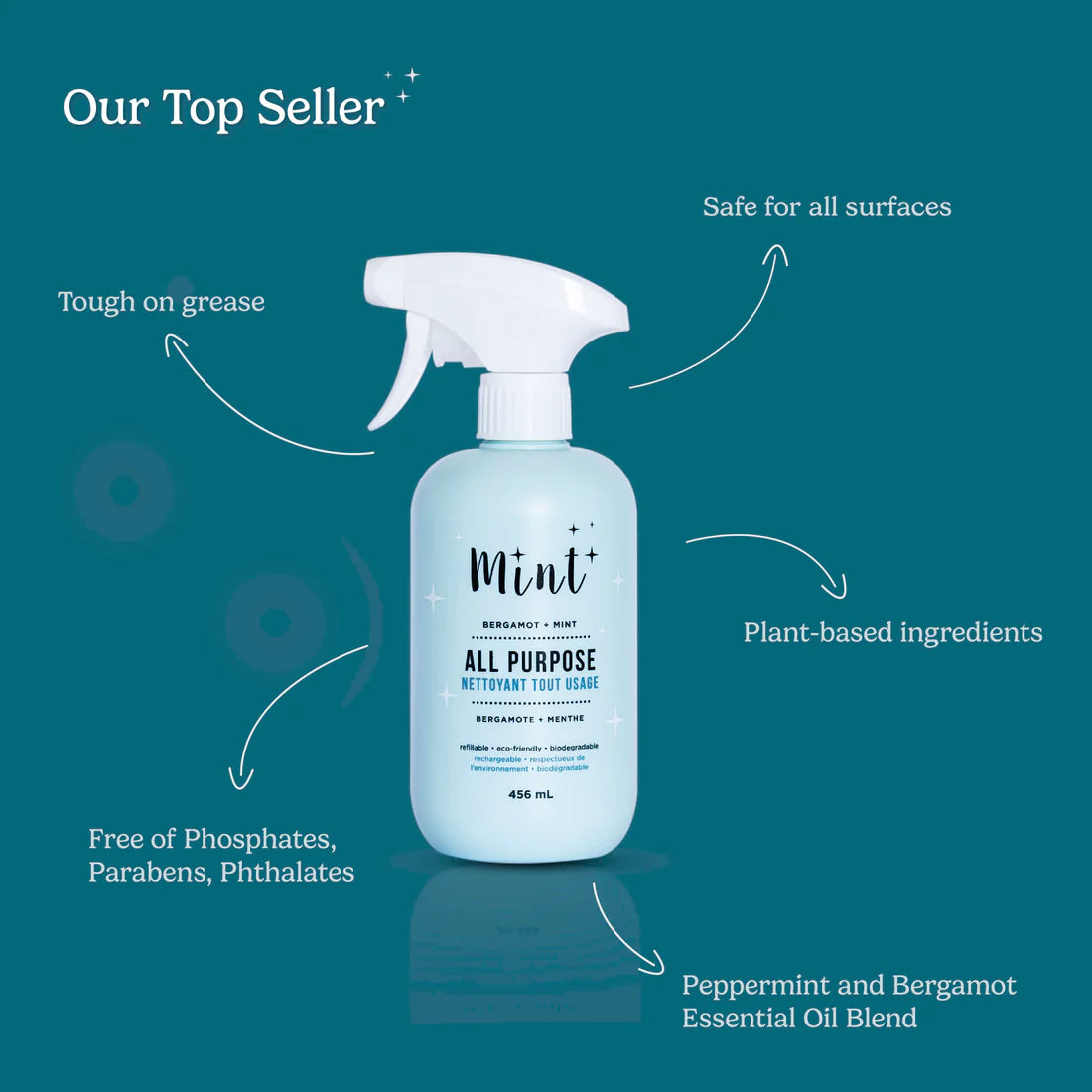 ALL PURPOSE CLEANER by MINT CLEANING