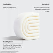 SOLID CONDITIONER in RICE PROTEIN by KITSCH