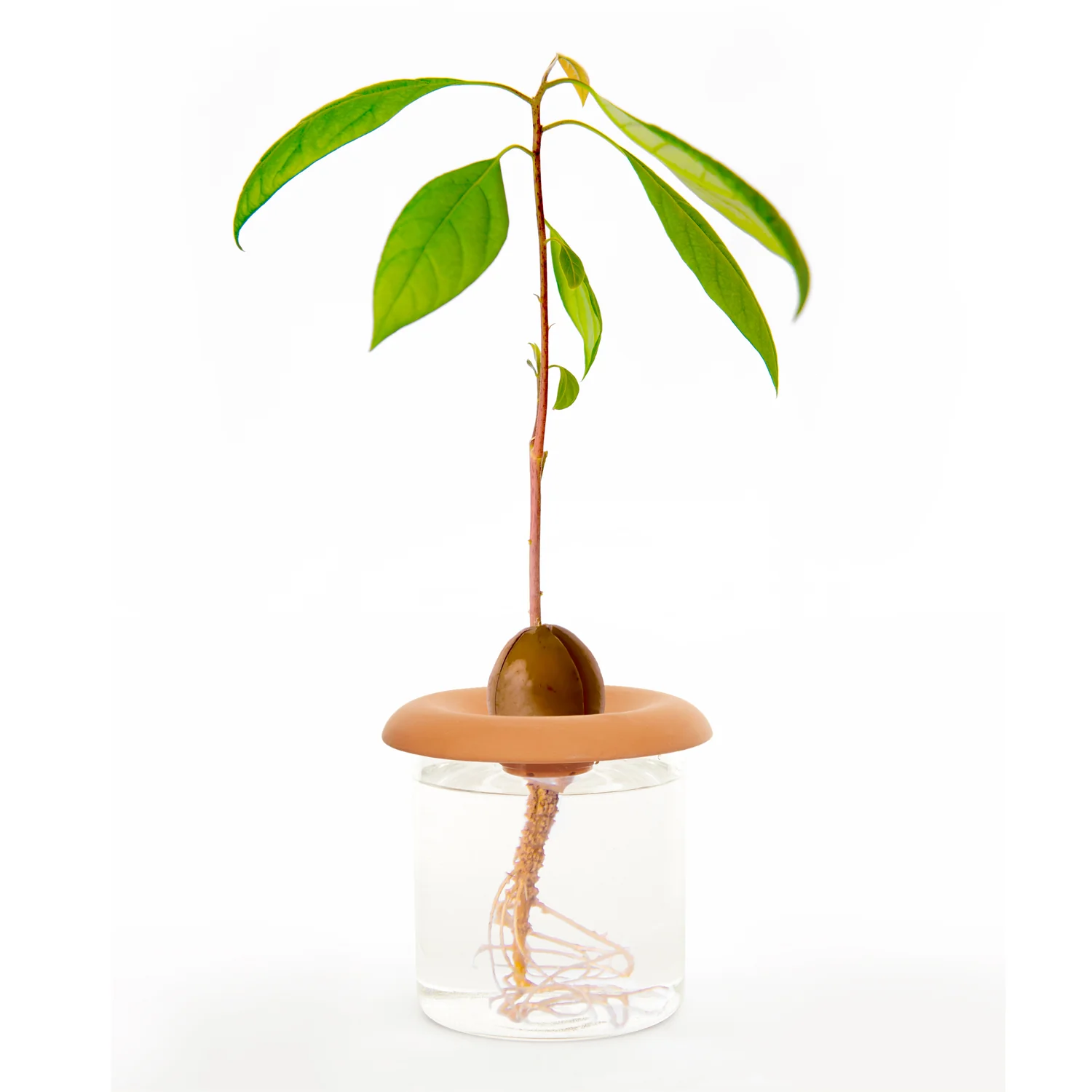 1_5fe88c87-6425-4d3b-ad67-db8c0c3fe660.png