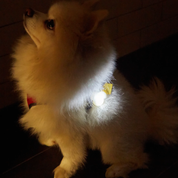 KOBE LIGHT UP NAME TAG
