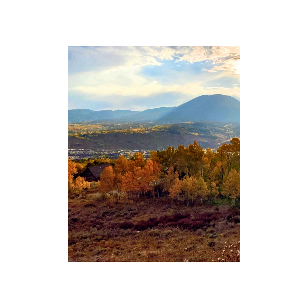 3_60c6fb27-5d56-49b1-b432-cf0be43bd59d.png