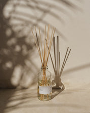 SALT REED DIFFUSER by LIT SOY CANDLES