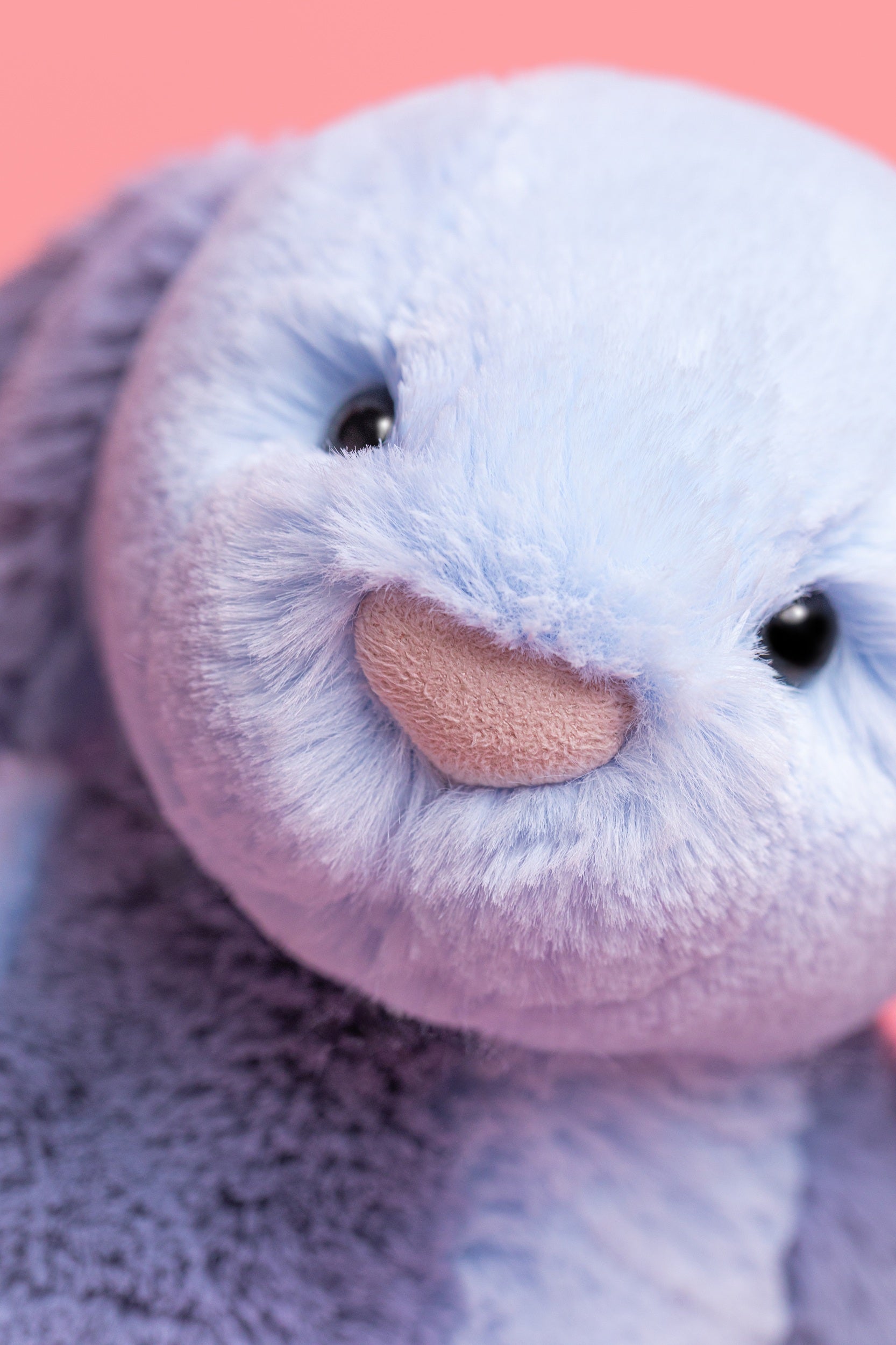 PUDDLESEA BUNNY by JELLYCAT