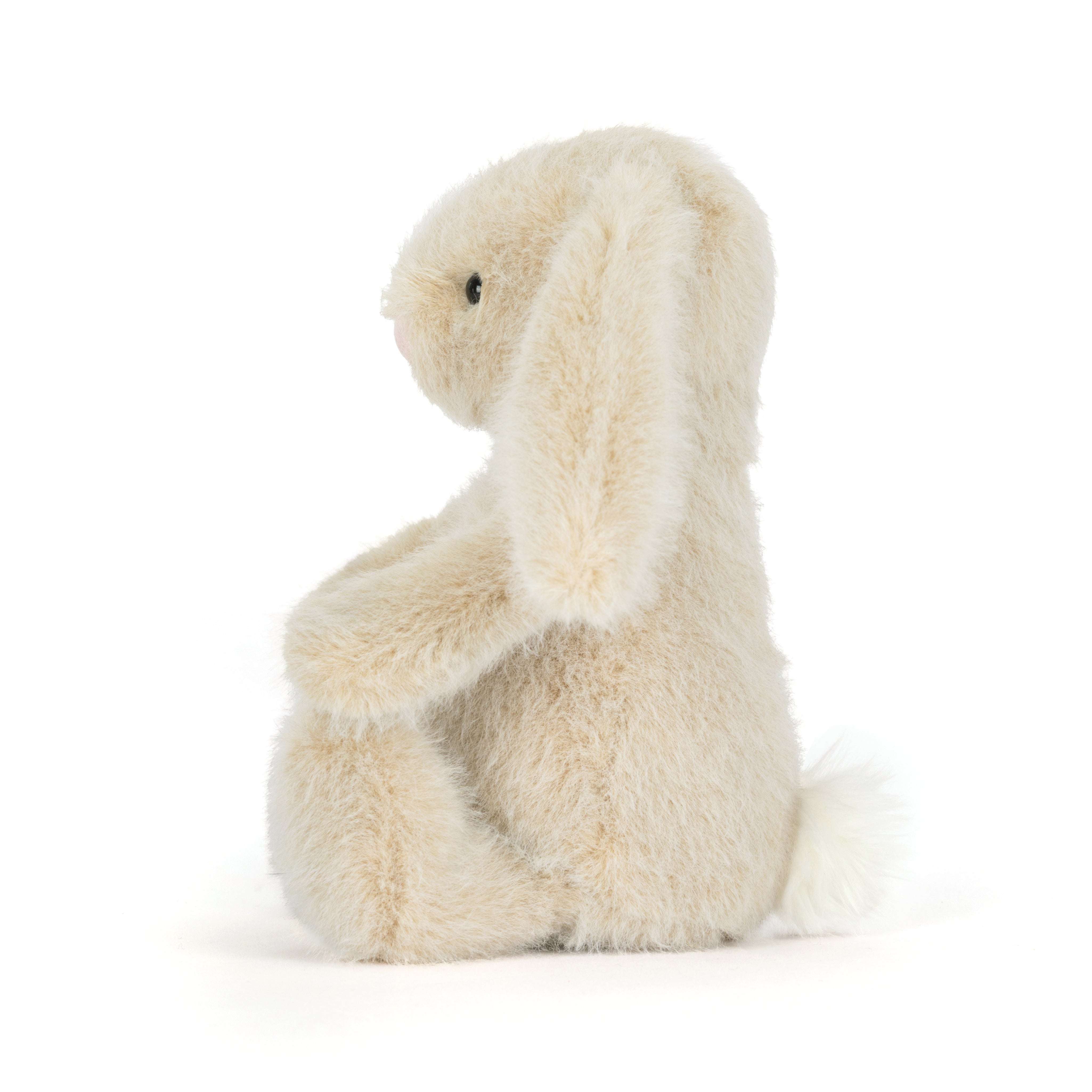 Plush toy bunny rabbit on a white background