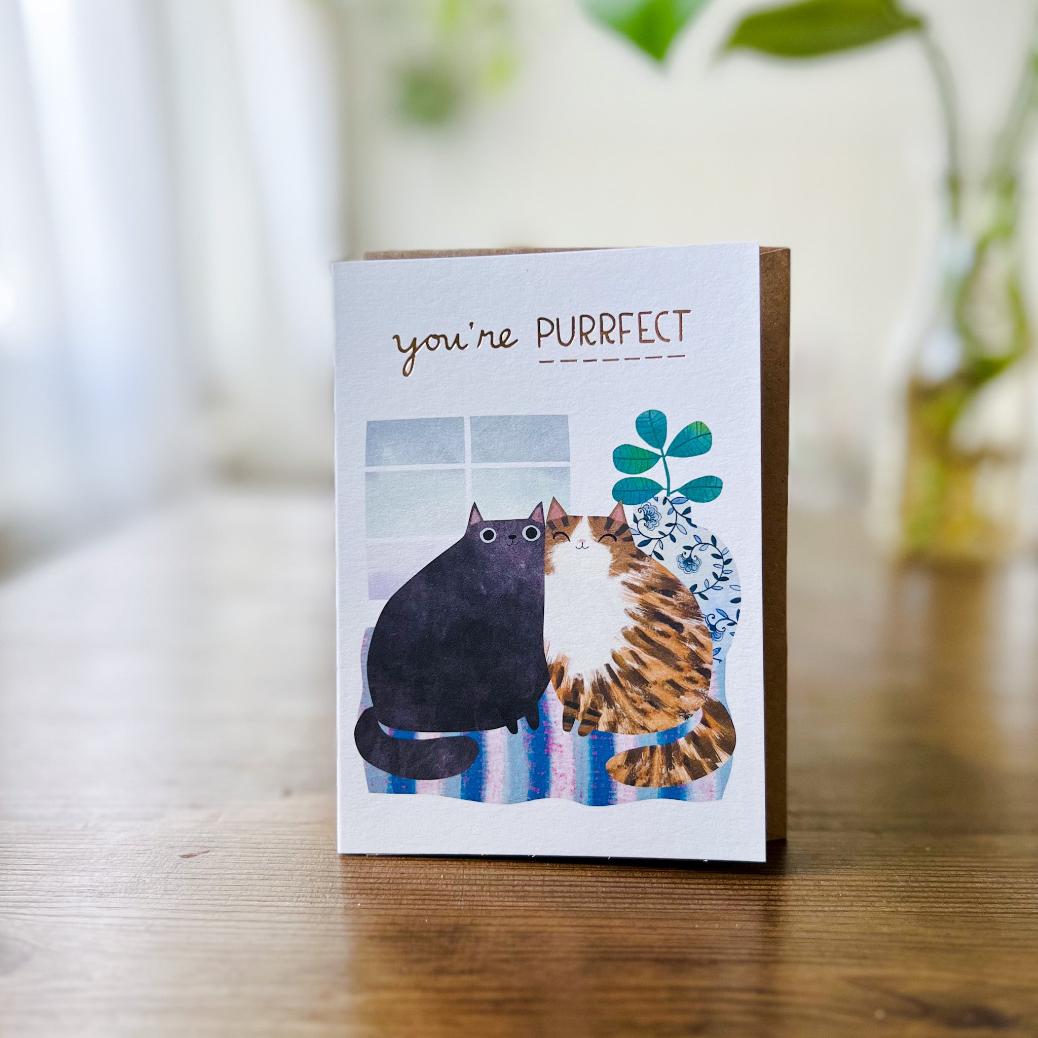 YOU'RE PURRFECT CARD