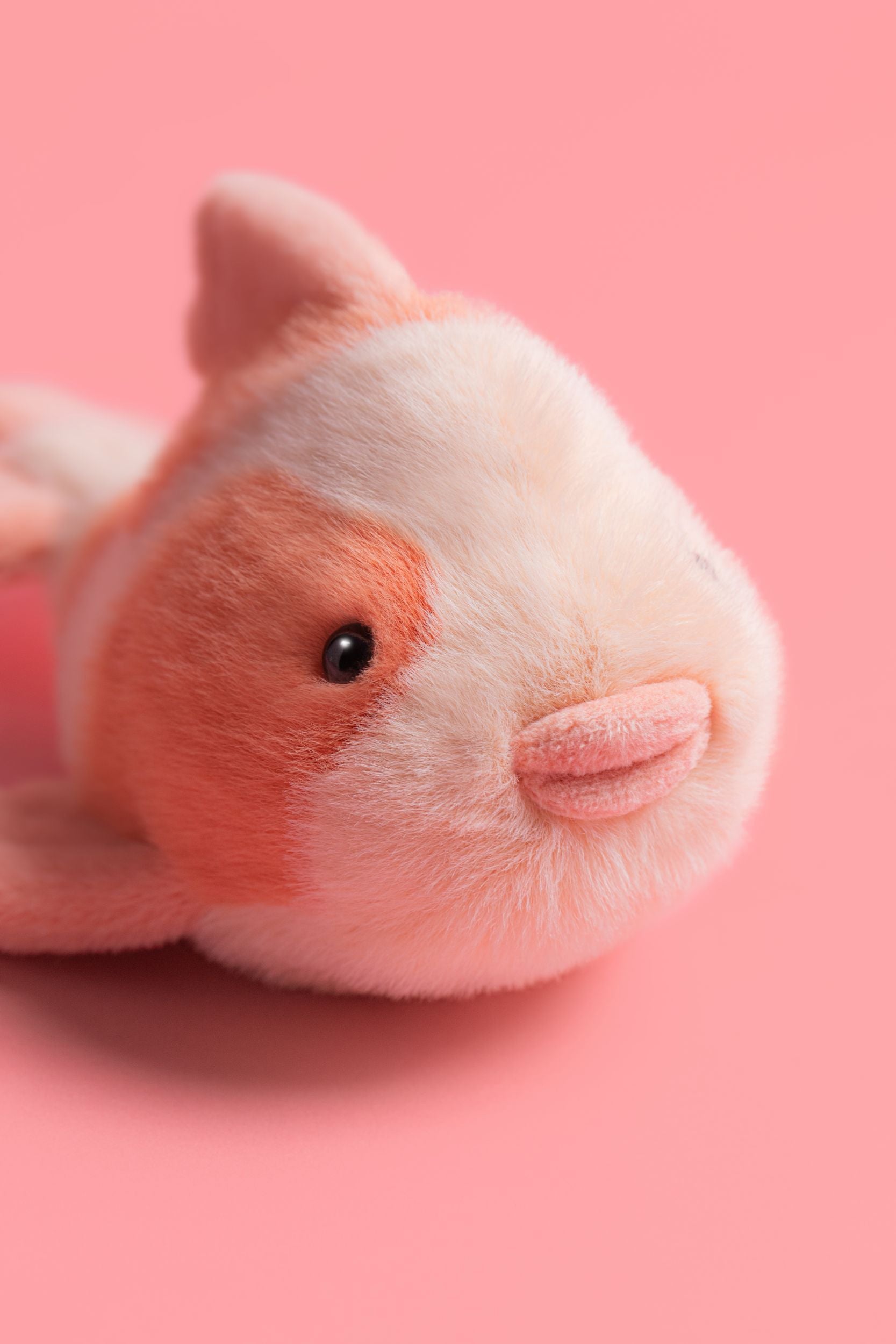 FANCY CARP by JELLYCAT
