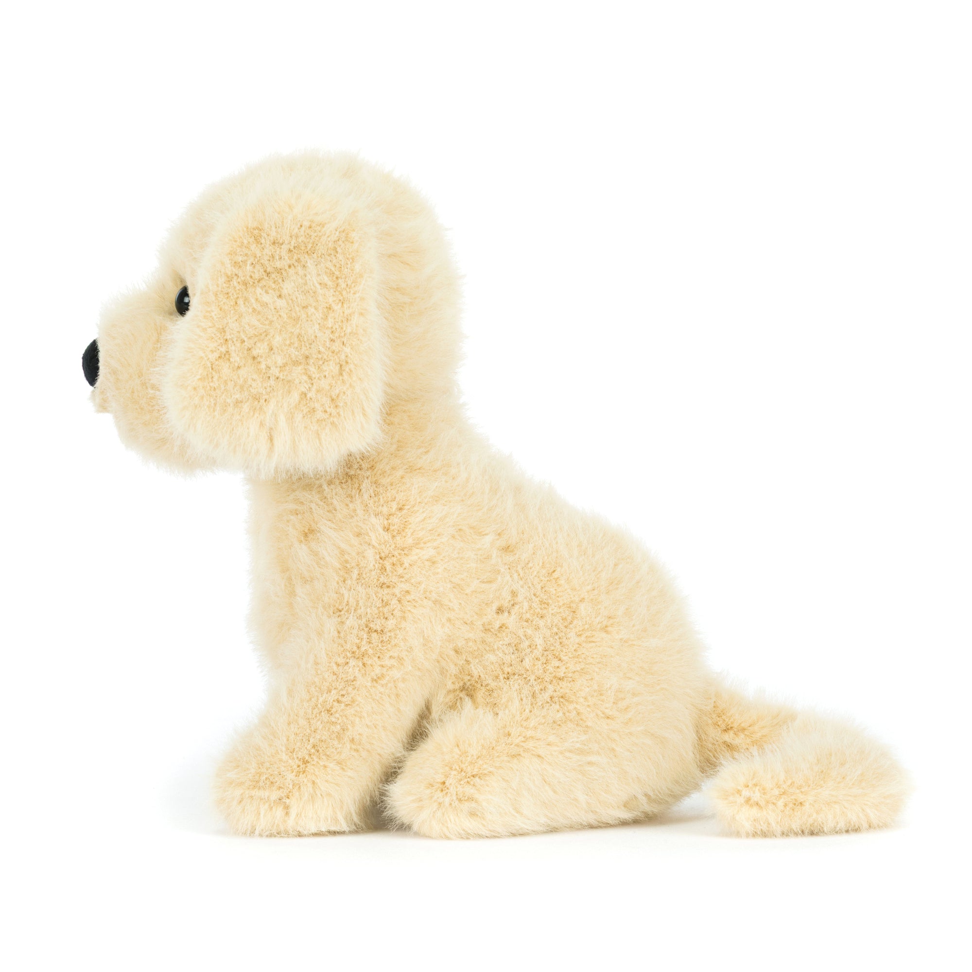 Plush toy dog on a white background