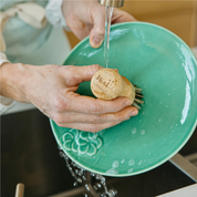 Caucasian person washing teal plate with bamboo dish brush from mint cleaning 