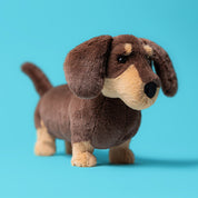 Plush sausage dog toy with dark brown fur, beige feet and snout, with black nose and eyes on a bright blue background.