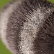 close up of a  jellycat raccoon plush toy tail