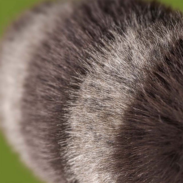 close up of a  jellycat raccoon plush toy tail