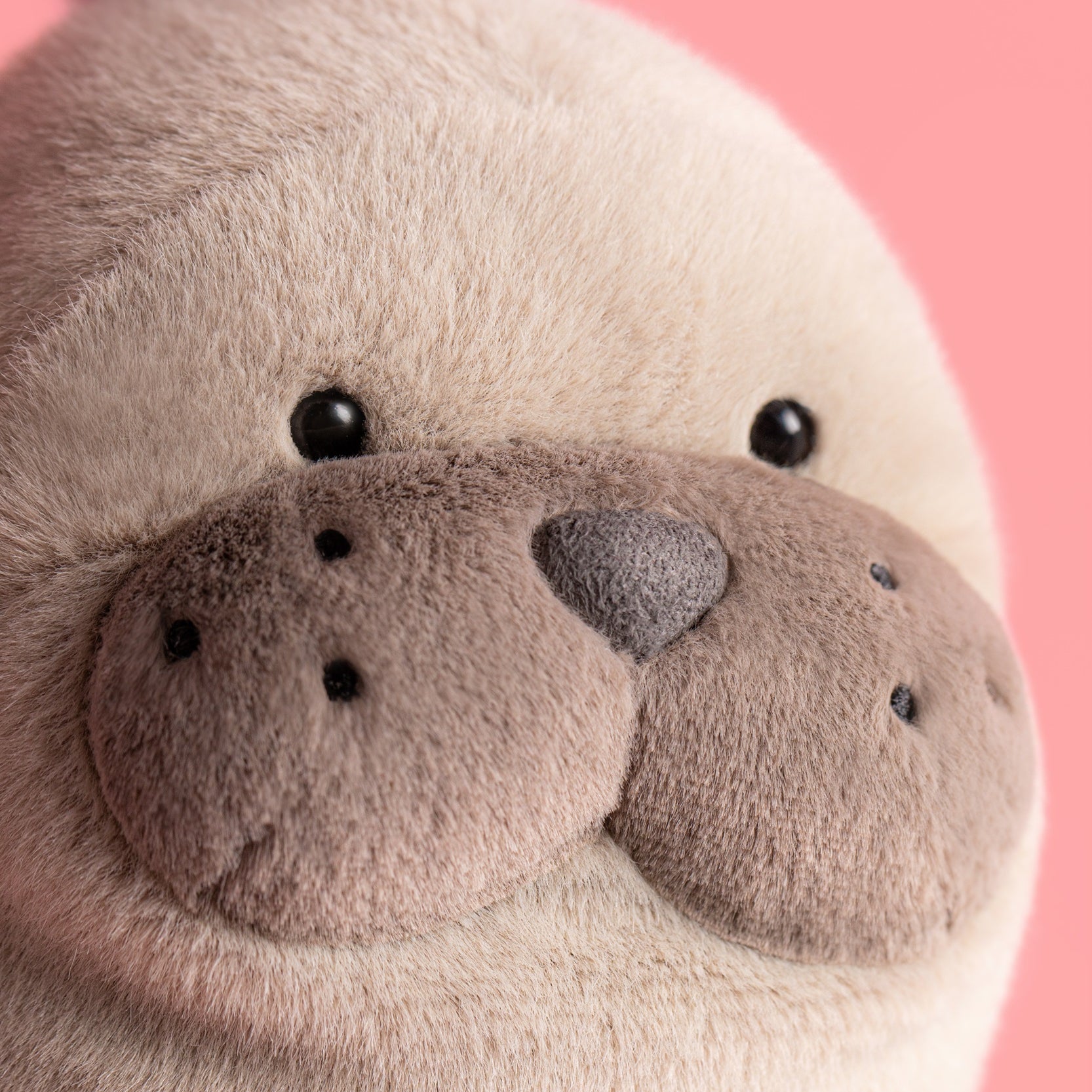 SEA2LN-RoarwellSeaLion-Pink-Detail-Shot-2.jpg