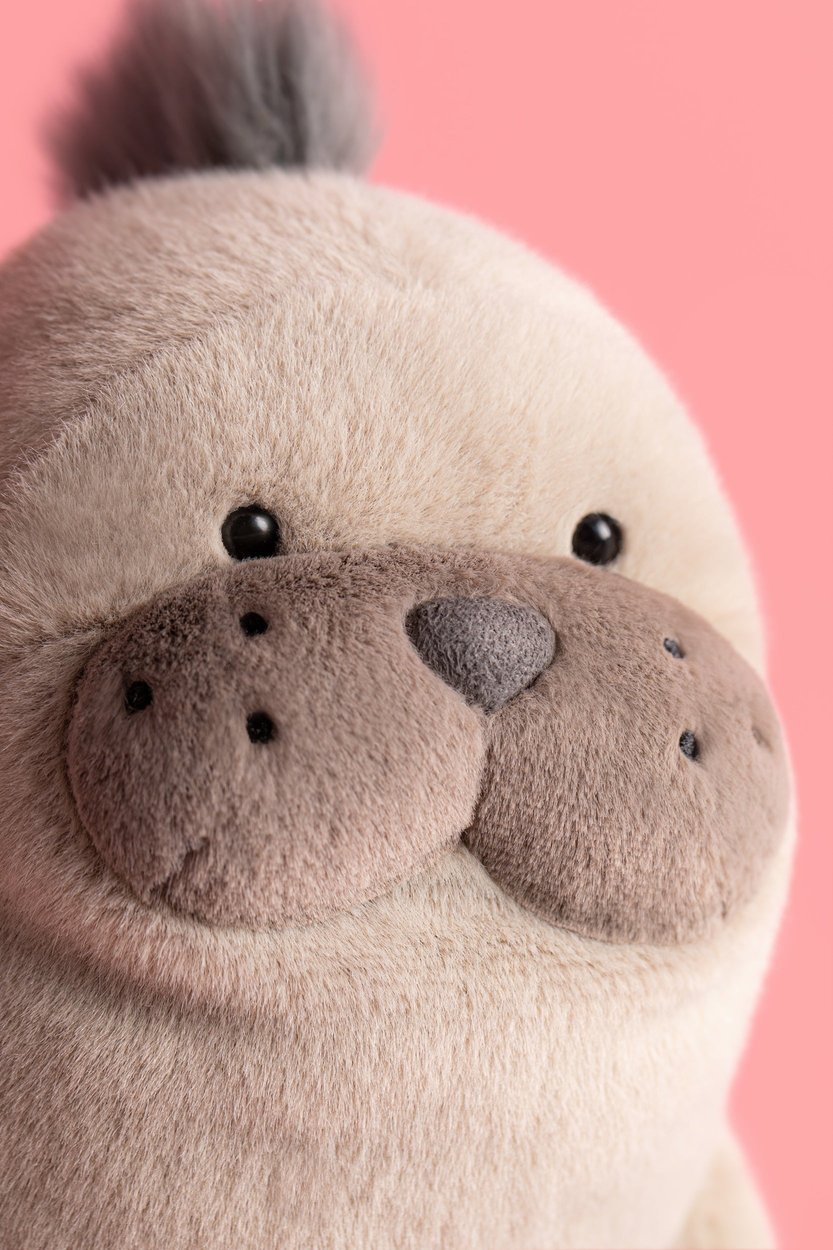 ROARWELL SEA LION by JELLYCAT