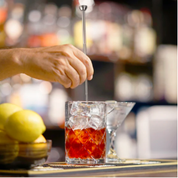 TELESCOPIC BAR SPOON