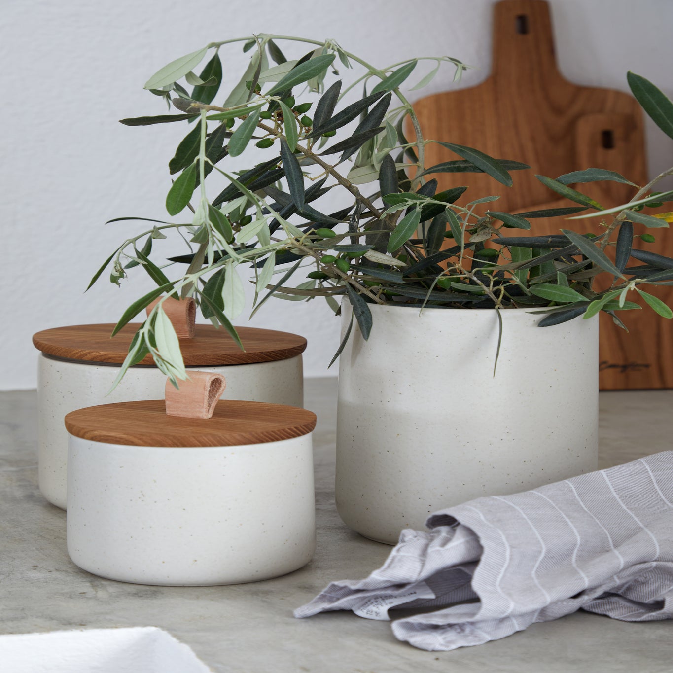 White containers with wooden lids and a potted plant on a light surface.