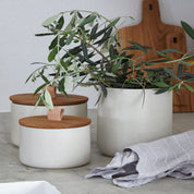 White containers with wooden lids and a potted plant on a light surface.