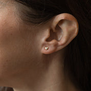 CUTIE STUDS in GOLD by GLEE