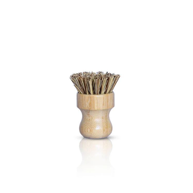 dish_brush_white_background.webp