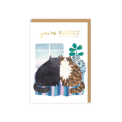 YOU'RE PURRFECT CARD