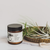 coconut sandalwood candle brown jar white label black lid by gold dish with air plants white bluffy background