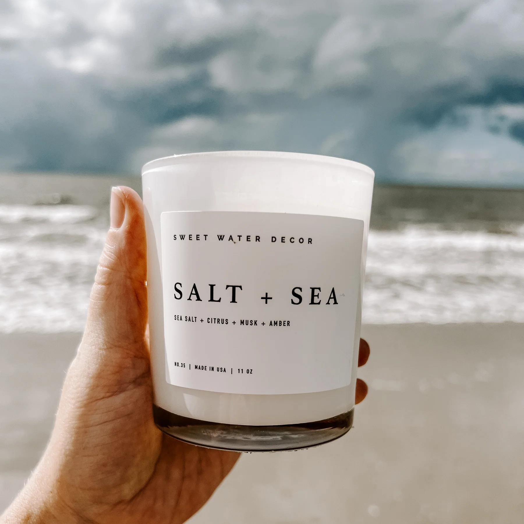 SALT + SEA by SWEET WATER DECOR